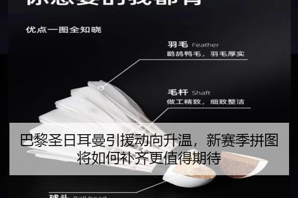 巴黎圣日耳曼引援动向升温，新赛季拼图将如何补齐更值得期待